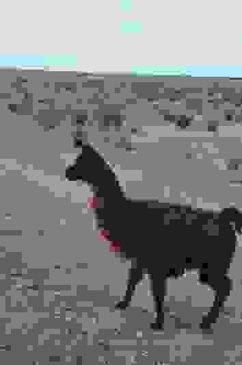 47-BorderMaker.jpg