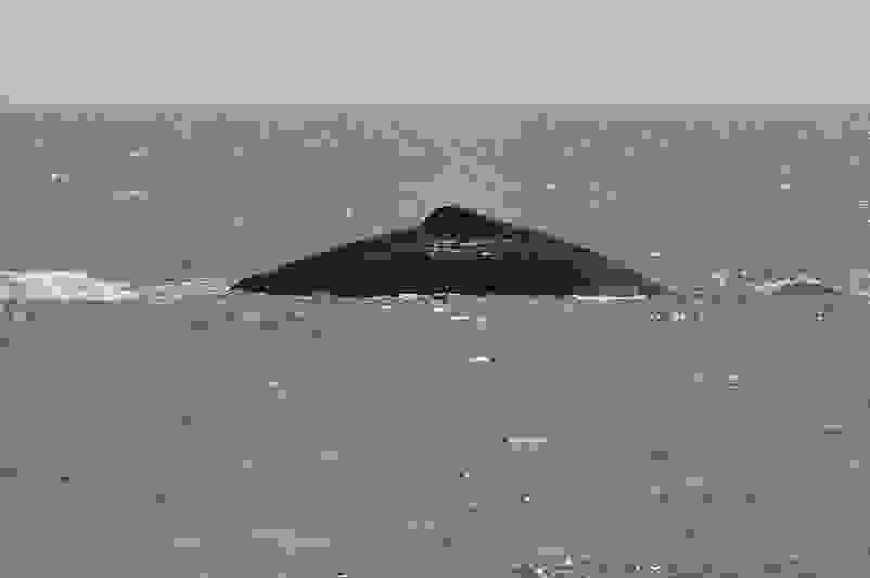 17-BorderMaker.jpg