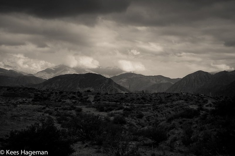 L1004566-1-BorderMaker.jpg