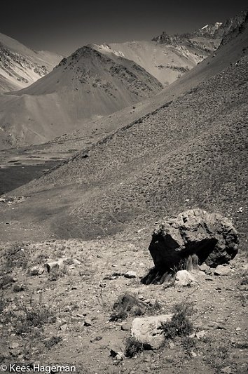 L1004834-1-BorderMaker.jpg