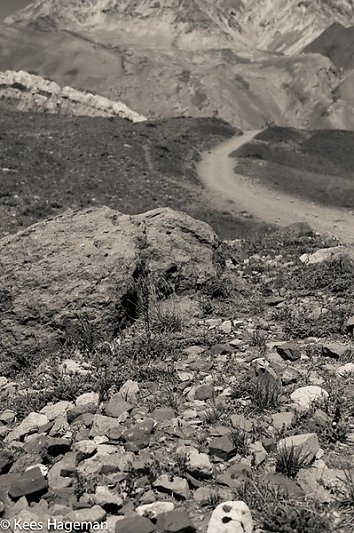L1004844-1-BorderMaker.jpg