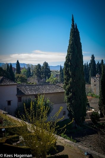L1007869-1-BorderMaker.jpg