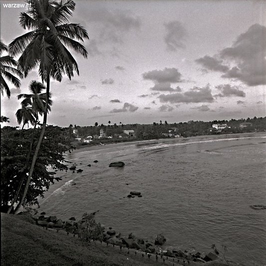 img052q.jpg