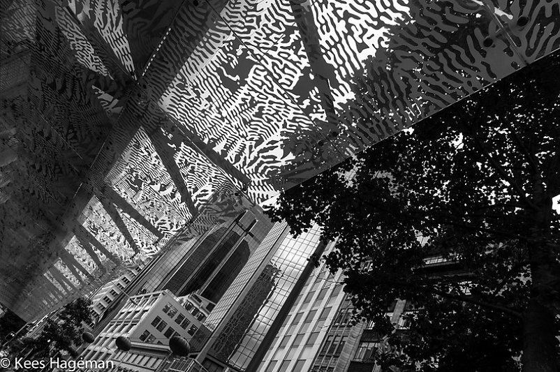 L1003579-6-BorderMaker.jpg