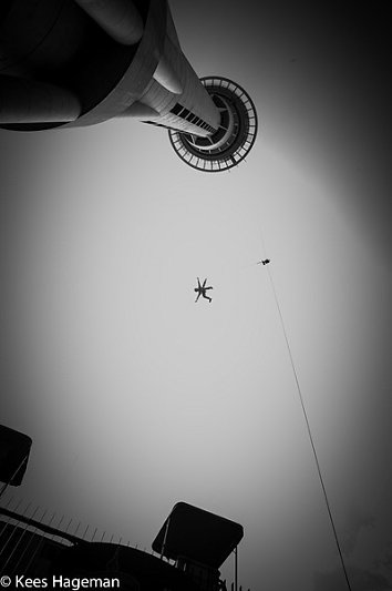 L1003690-6-BorderMaker.jpg