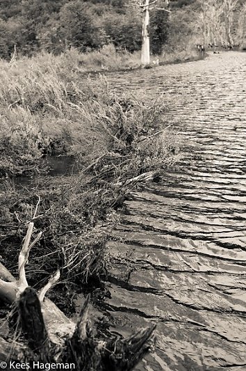 L1004377-1-BorderMaker.jpg