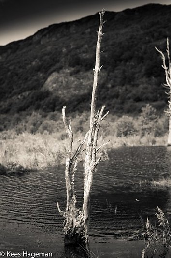 L1004386-1-BorderMaker.jpg