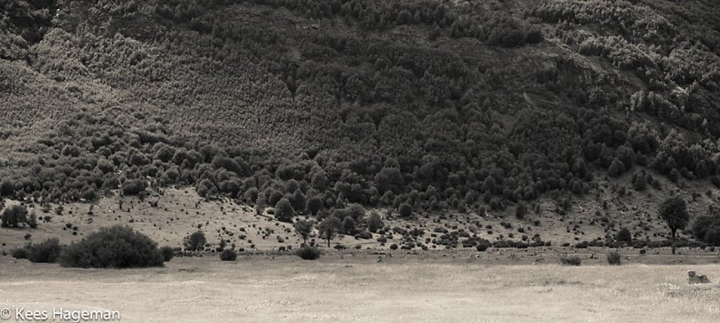 L1004404-1-BorderMaker.jpg