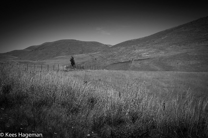 L1001513-6-BorderMaker.jpg