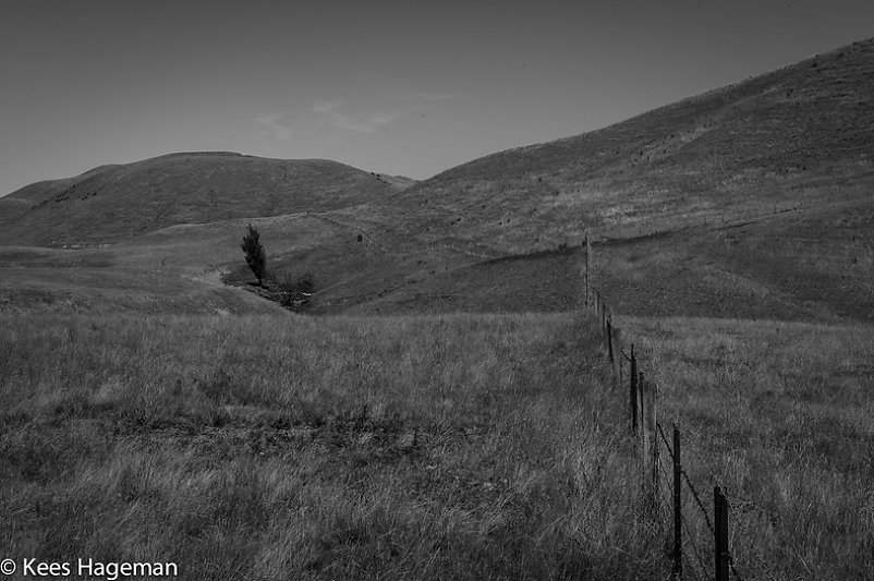 L1001515-6-BorderMaker.jpg