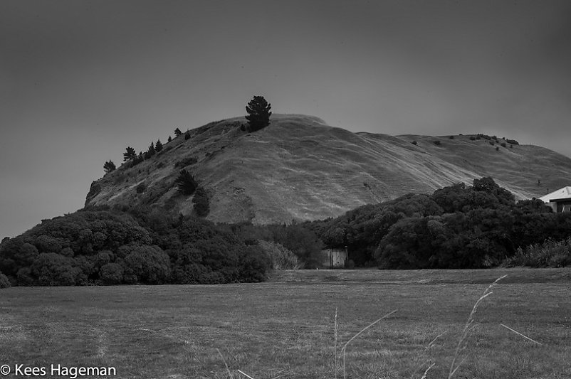 L1001542-6-BorderMaker.jpg
