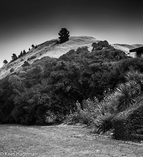 L1001549-6-BorderMaker.jpg