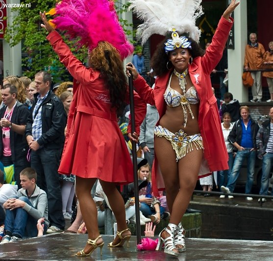DSC-7242.jpg