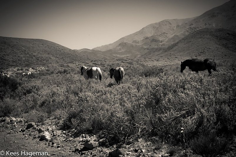 L1005588-1-BorderMaker.jpg