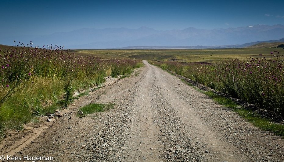 L1005633-1-BorderMaker.jpg