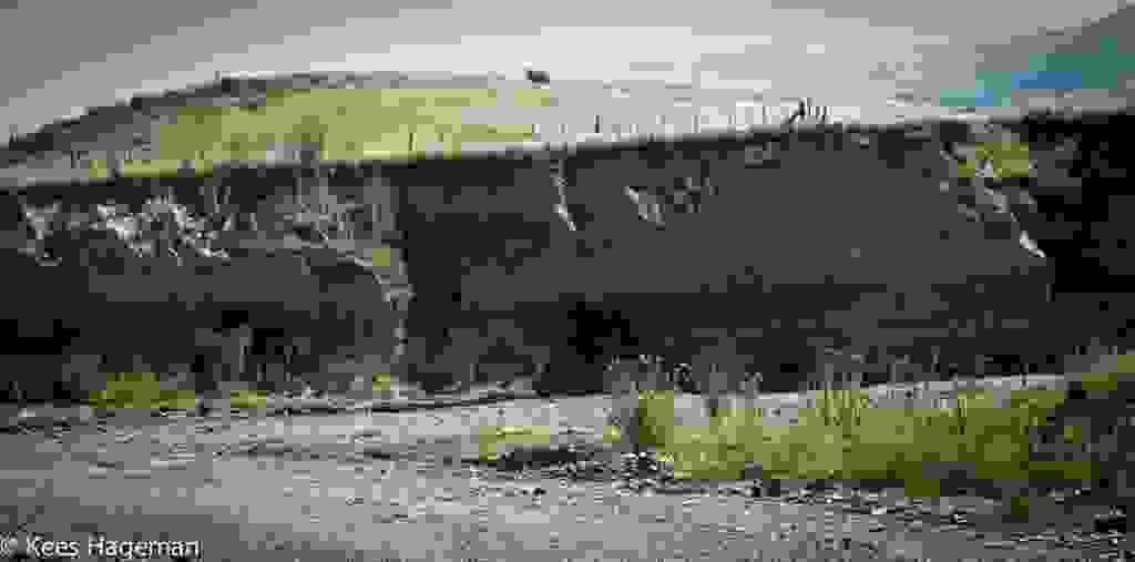 L1005646-1-BorderMaker.jpg