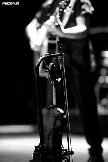 DSC-5630.jpg