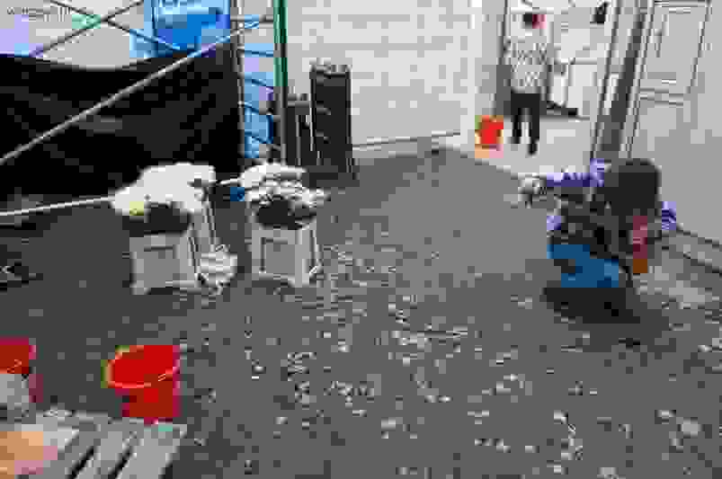DSC9917.jpg
