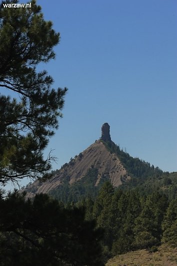 444.jpg