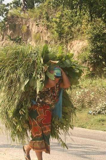 Nepal-2013-472-BorderMaker.jpg