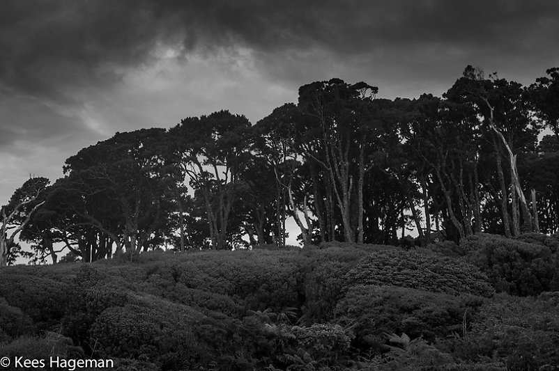 L1002353-6-BorderMaker.jpg