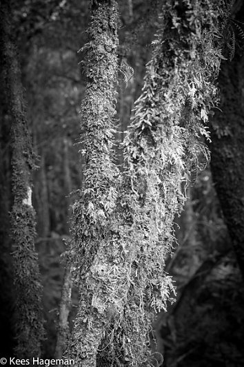 L1002126-9-BorderMaker.jpg