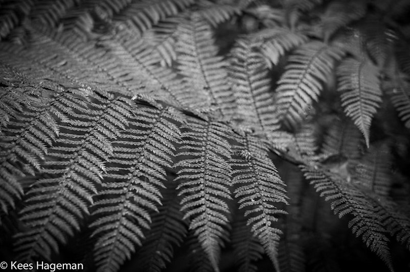 L1002152-9-BorderMaker.jpg