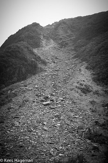 L1002303-8-BorderMaker.jpg