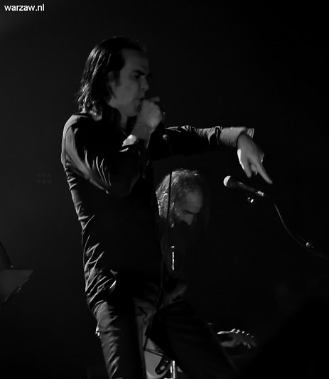 DSC-5374.jpg