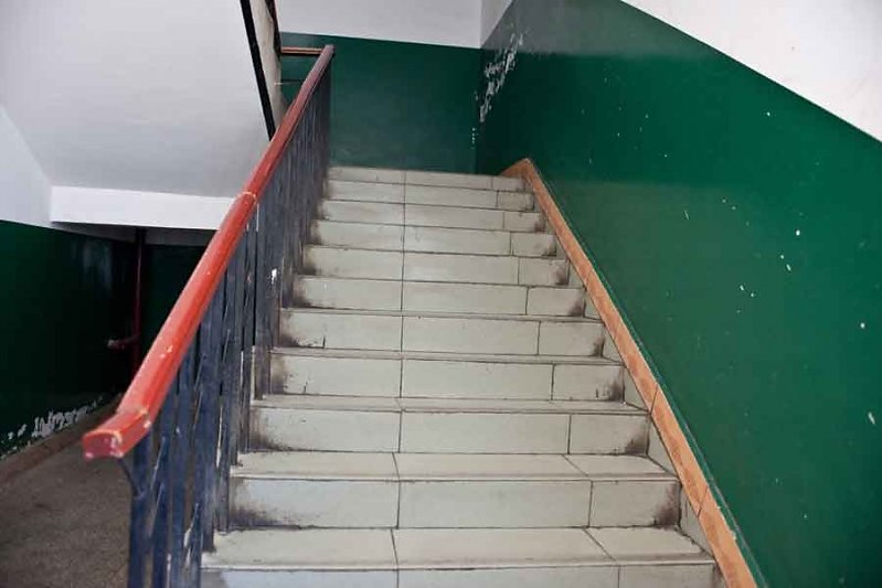 4798.jpg