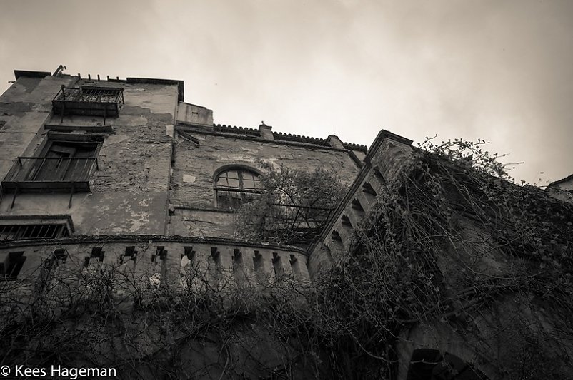 L1007668-6-BorderMaker.jpg