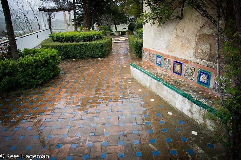L1007698-6-BorderMaker.jpg