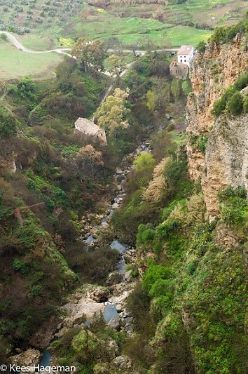 L1007717-7-BorderMaker.jpg