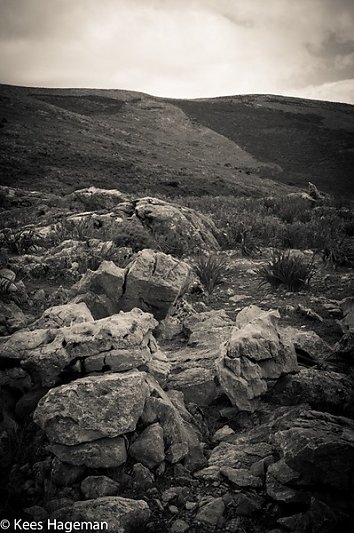 L1007757-7-BorderMaker.jpg