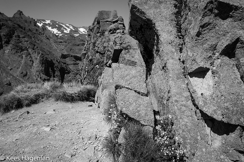 L1000842-66-BorderMaker.jpg