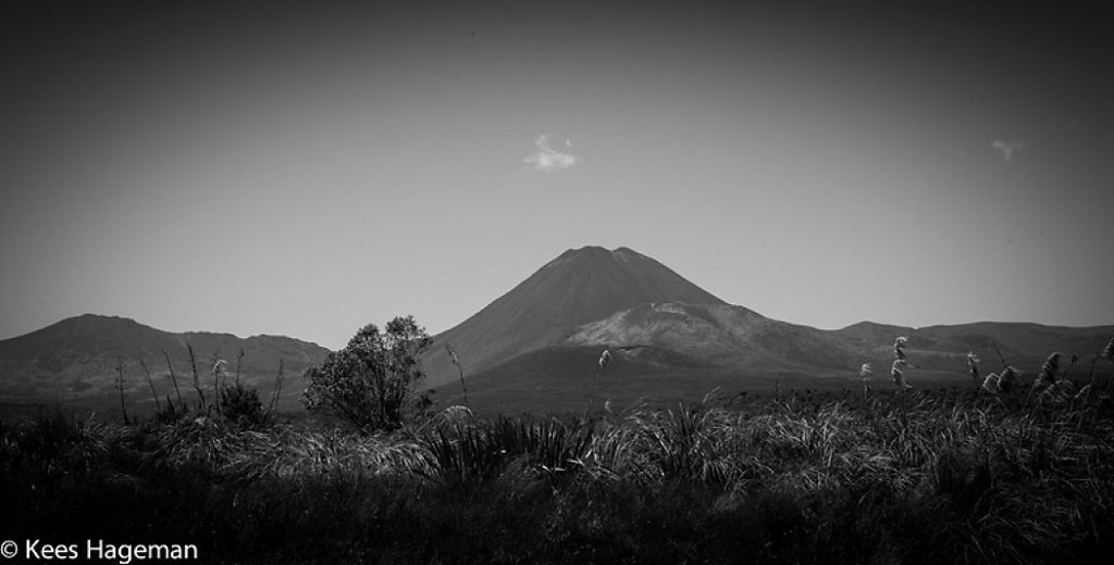 L1000867-66-BorderMaker.jpg
