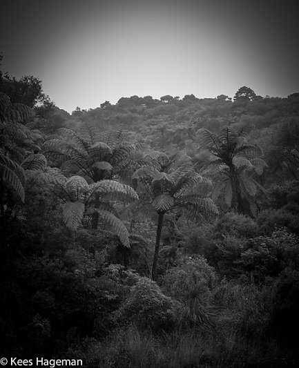 L1000301-66-BorderMaker.jpg