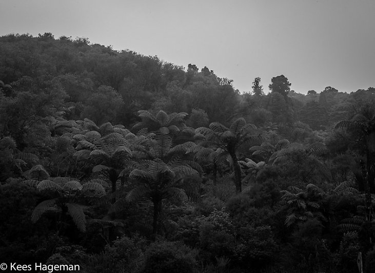 L1000307-66-BorderMaker.jpg