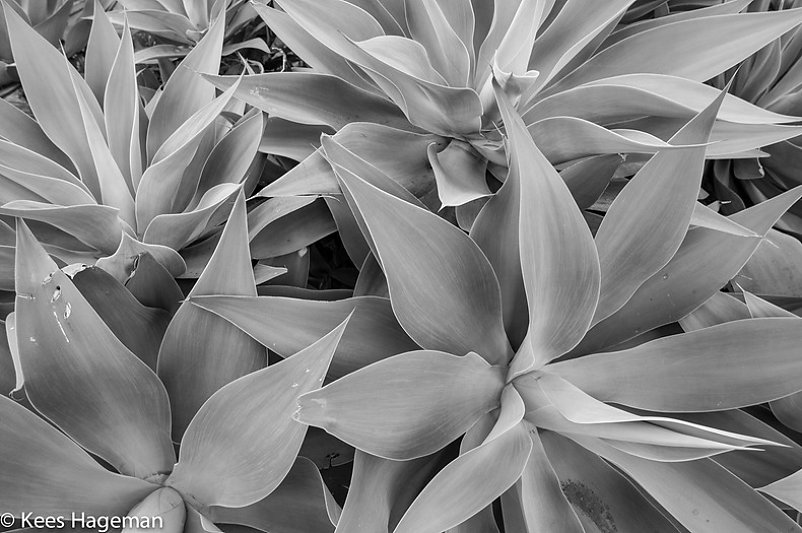 L1000412-66-BorderMaker.jpg