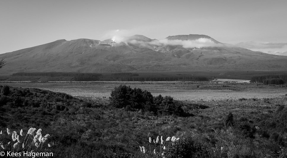 L1000693-66-BorderMaker.jpg
