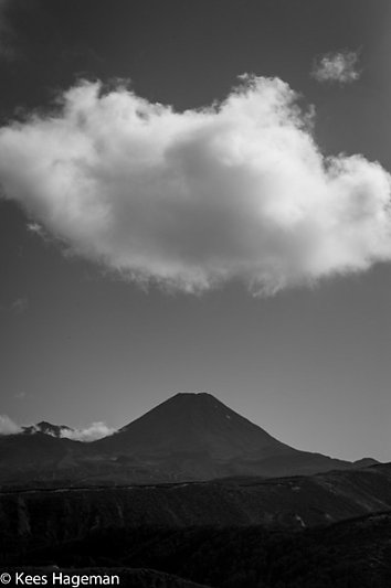 L1000706-66-BorderMaker.jpg