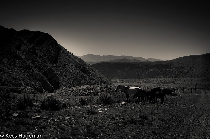 L1005087-1-BorderMaker.jpg