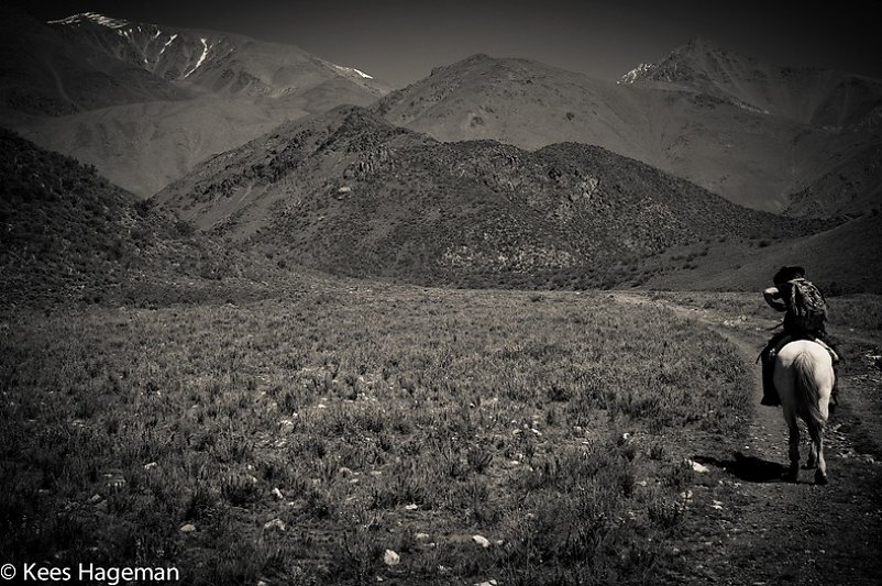 L1005117-1-BorderMaker.jpg