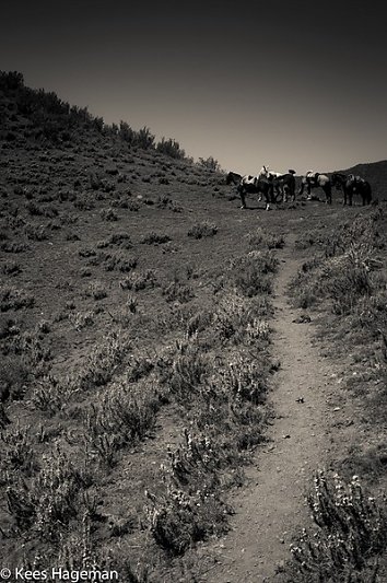 L1005197-1-BorderMaker.jpg