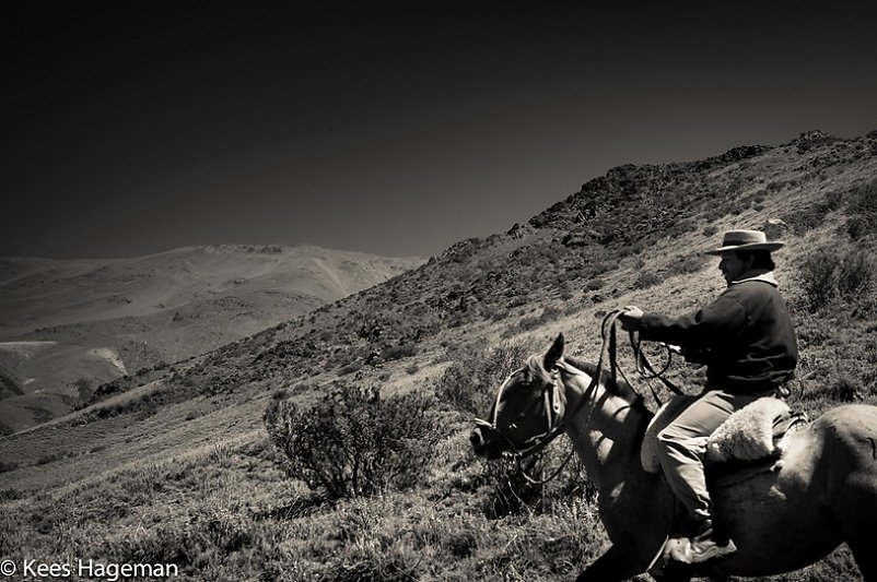 L1005208-1-BorderMaker.jpg