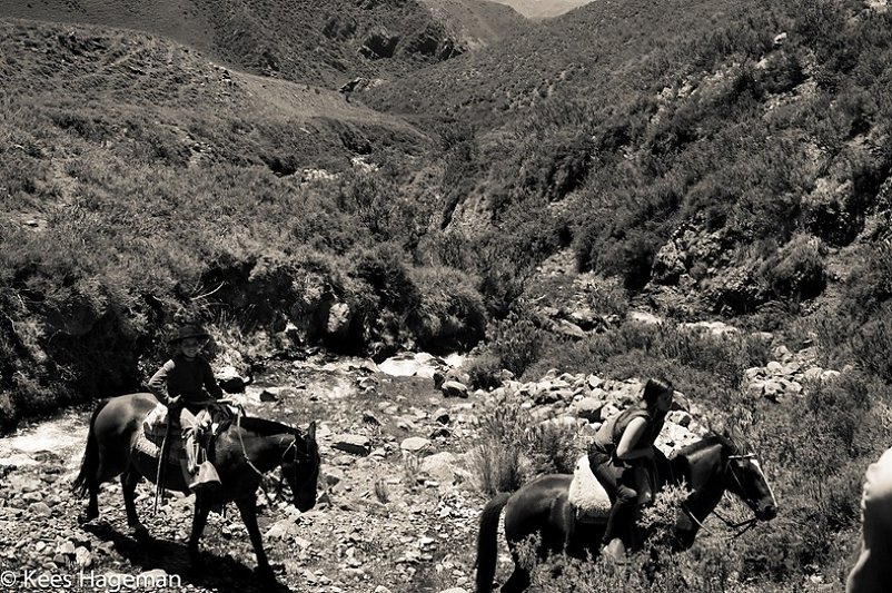 L1005236-1-BorderMaker.jpg