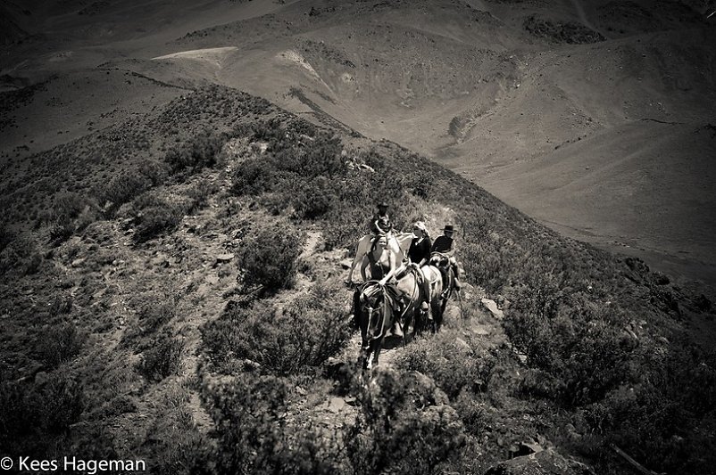 L1005313-1-BorderMaker.jpg