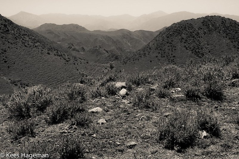 L1005372-1-BorderMaker.jpg