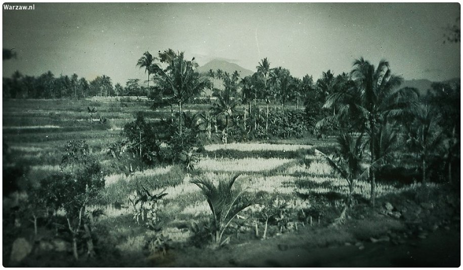 190.jpg