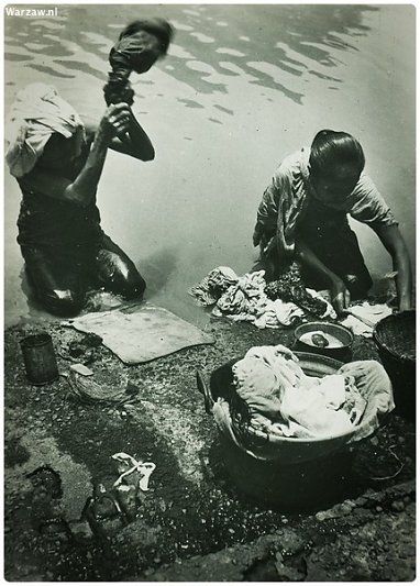 193.jpg